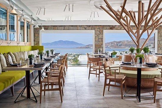 NOA Greek Restaurant