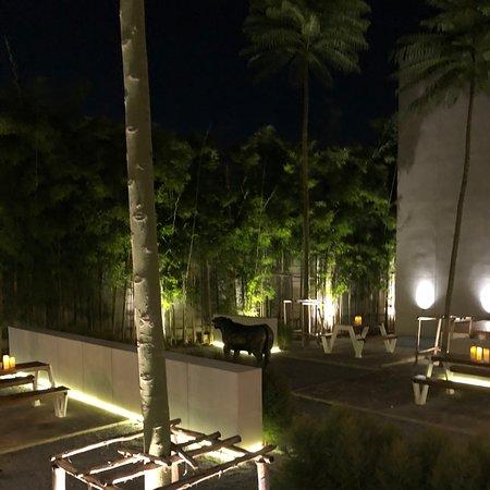 Grillicious Japanese BBQ