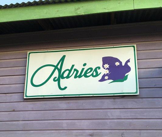 Adries