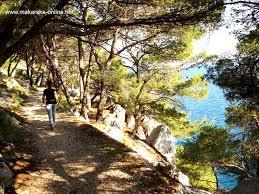Park šuma Osejava