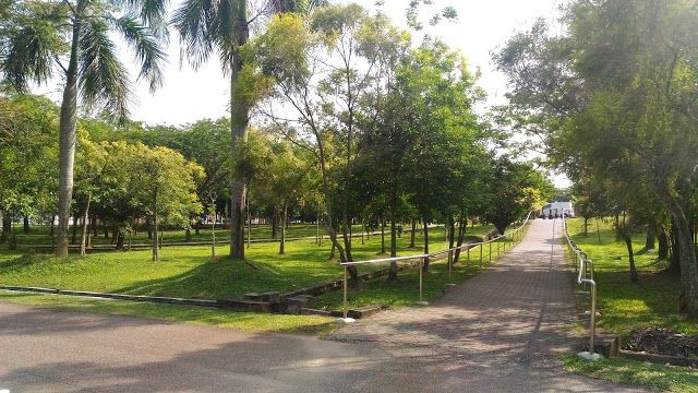 Hutan Bandar Mbip