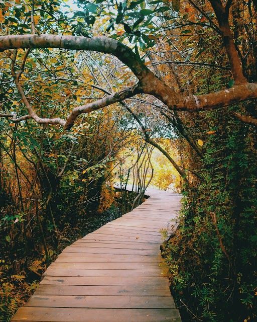 Beddagana Wetland Park