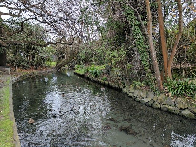 Riccarton Bush