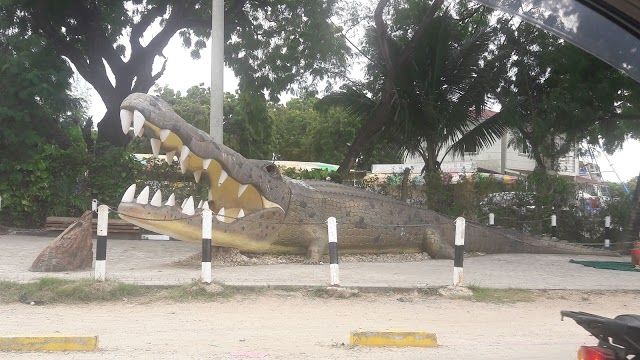 Mamba Village