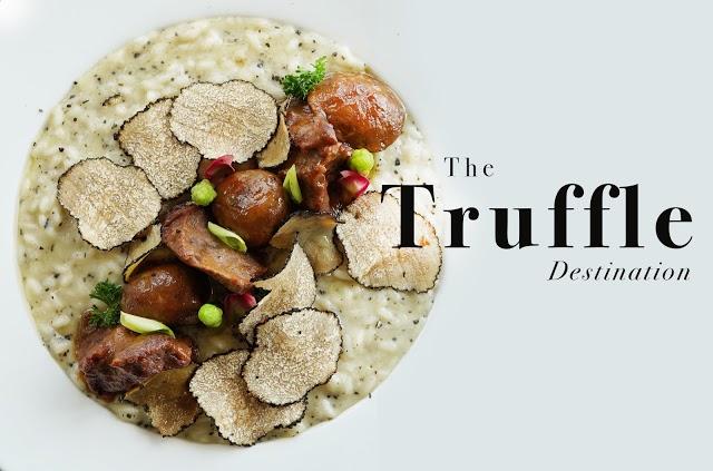 White Box Restaurant and Bar