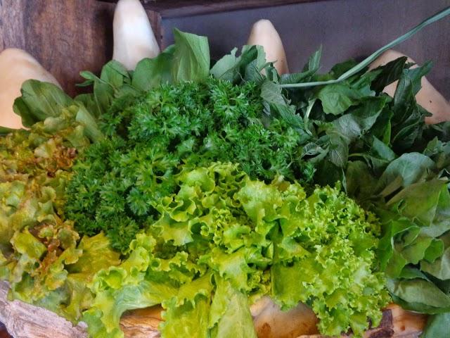 Sari Organik Penestanan