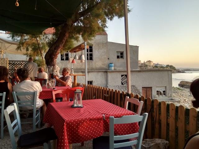 Tapas Halepa