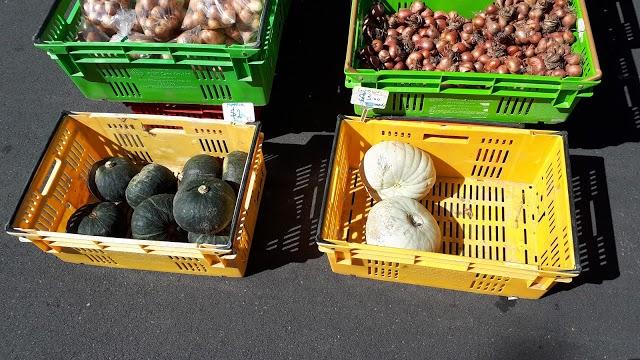 Napier Urban Farmer's Market