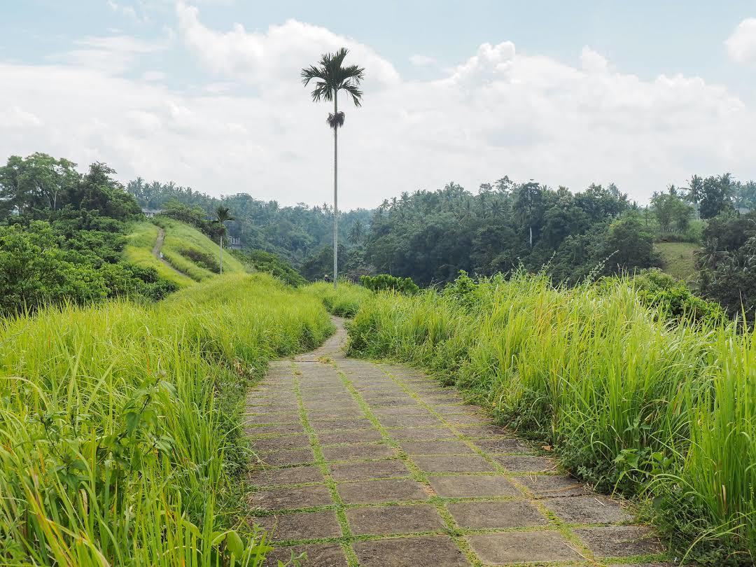 Tjampuhan's Sacred Hills
