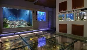 Aquarium Piran