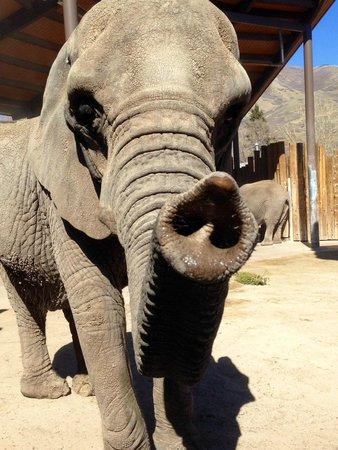 Utah's Hogle Zoo