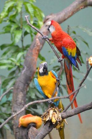 National Zoological Gardens of Sri Lanka