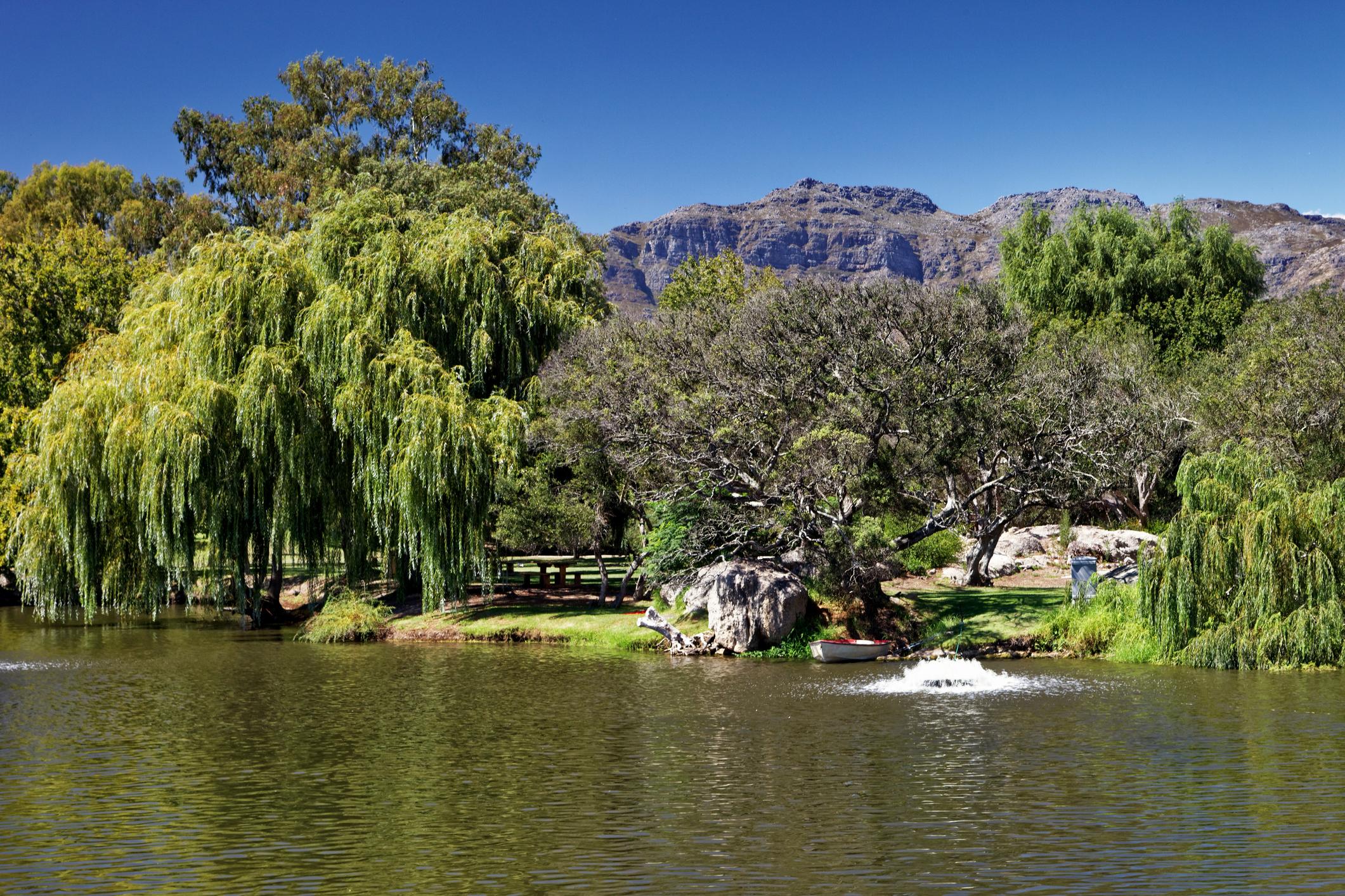 Spier