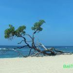Nusa Dua