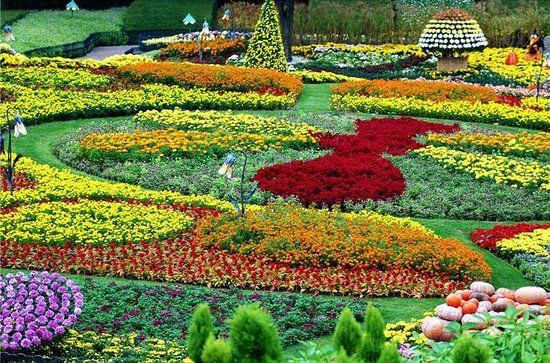 Keukenhof