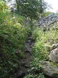 Gåseborgs fornborg