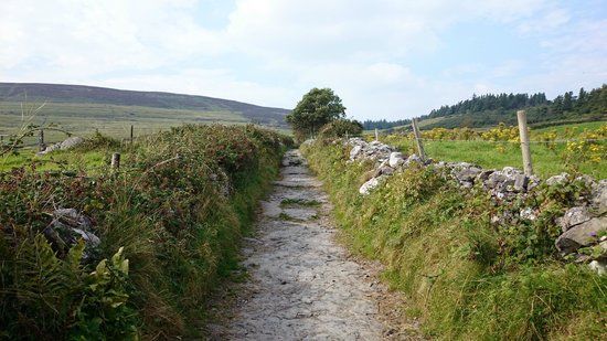 Knocknarea