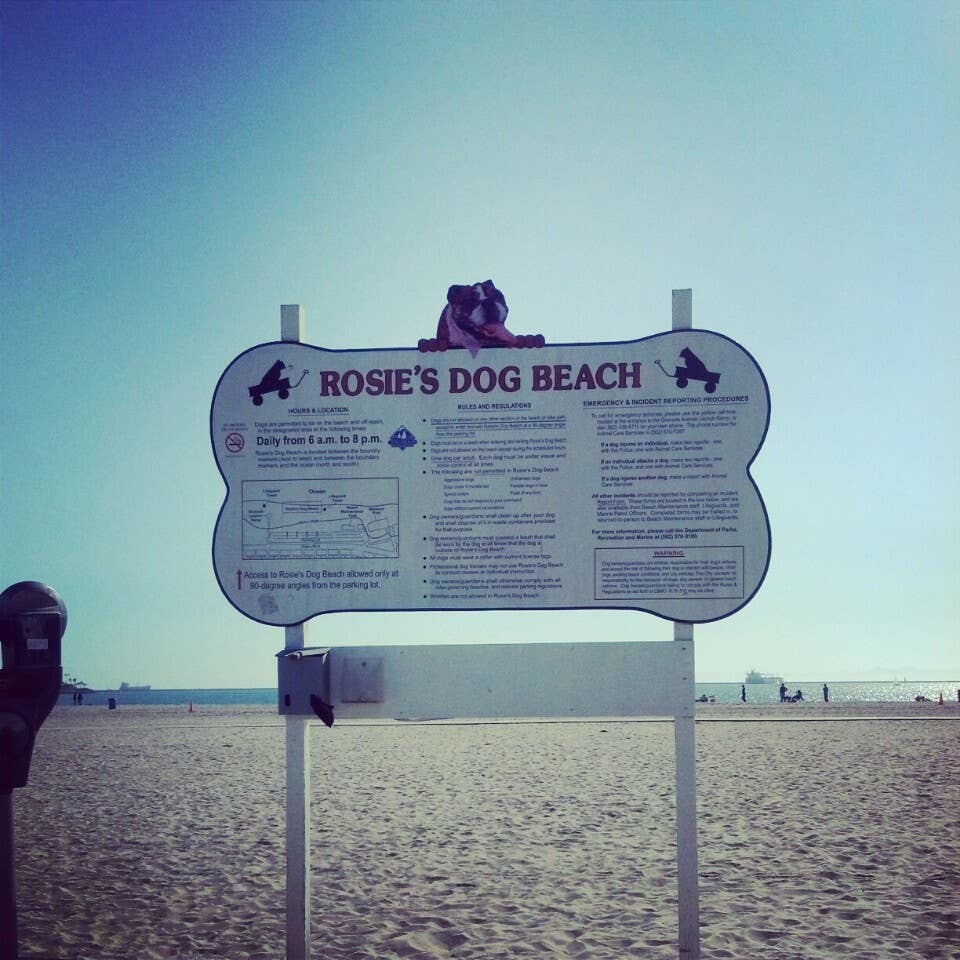Rosie's Dog Beach