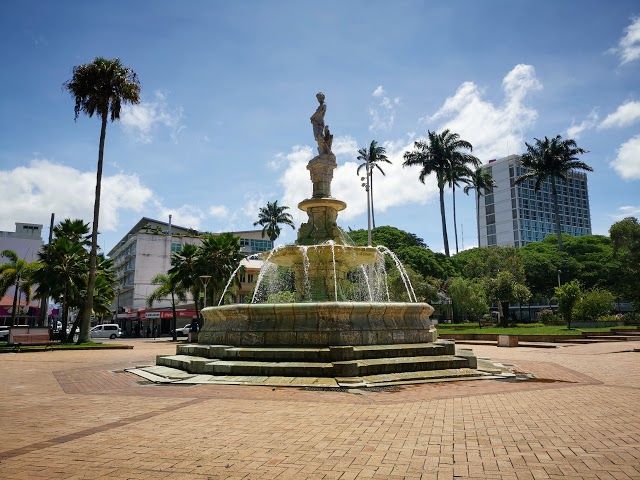 Coconut Palm Square