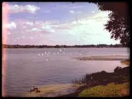 Starke Lake