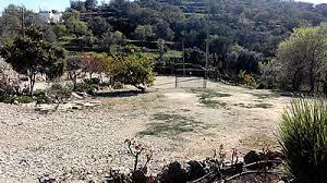 Azinheiro