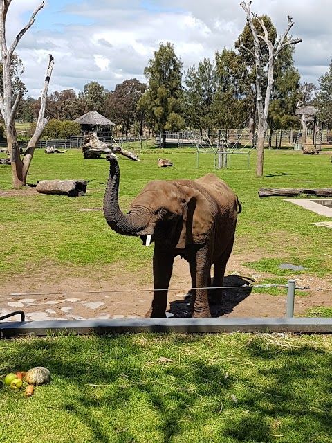 Taronga Western Plains Zoo