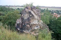Knezivka