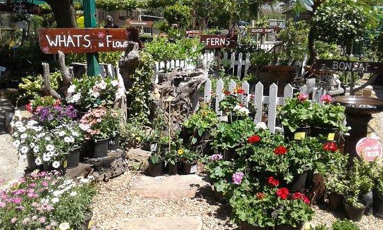 The Garden Kitchen