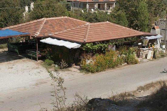 Nurcan Sac Boregi
