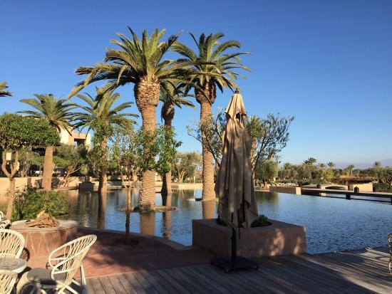 Domaine Royal Palm