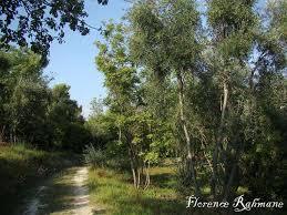 Parc Docteur Jean Guillaud