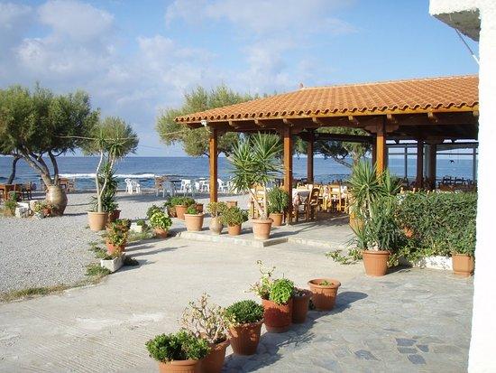 Flisvos Taverna