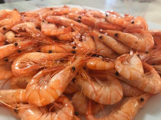 Marisqueira Arranca Mariscos&Petiscos