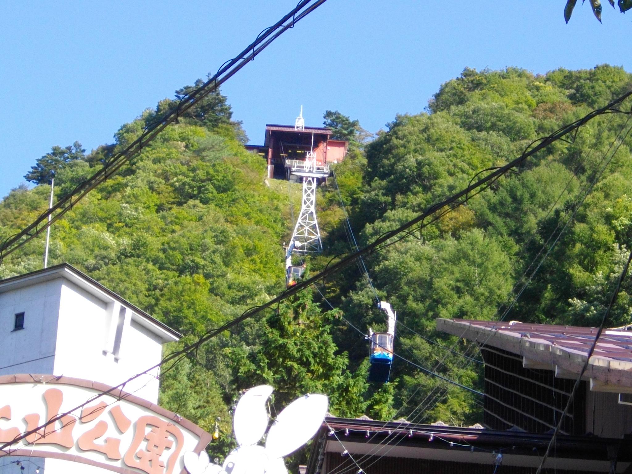 Mt. Fuji Panoramic Ropeway