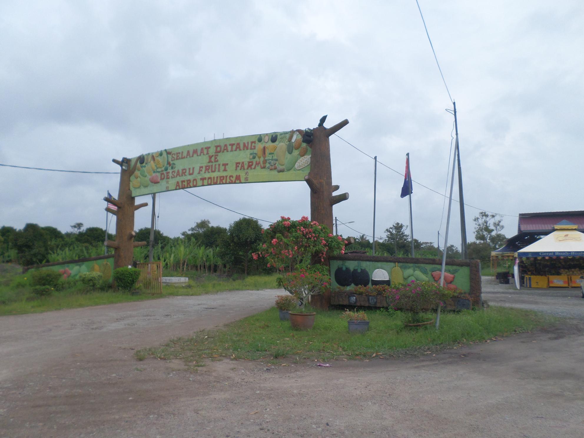Desaru Fruit Farm