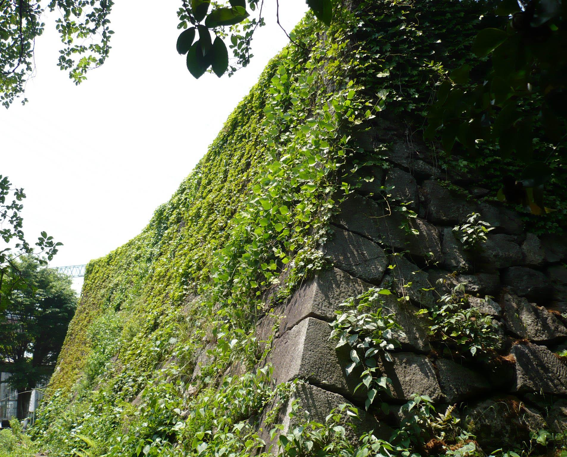 Yodo Castle Ruins