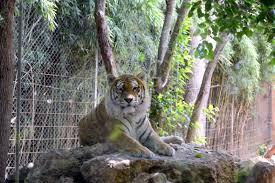 Zoologico Natura Parc