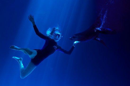 UnderWater World