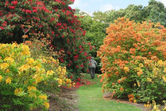 Waipahihi Botanical Gardens