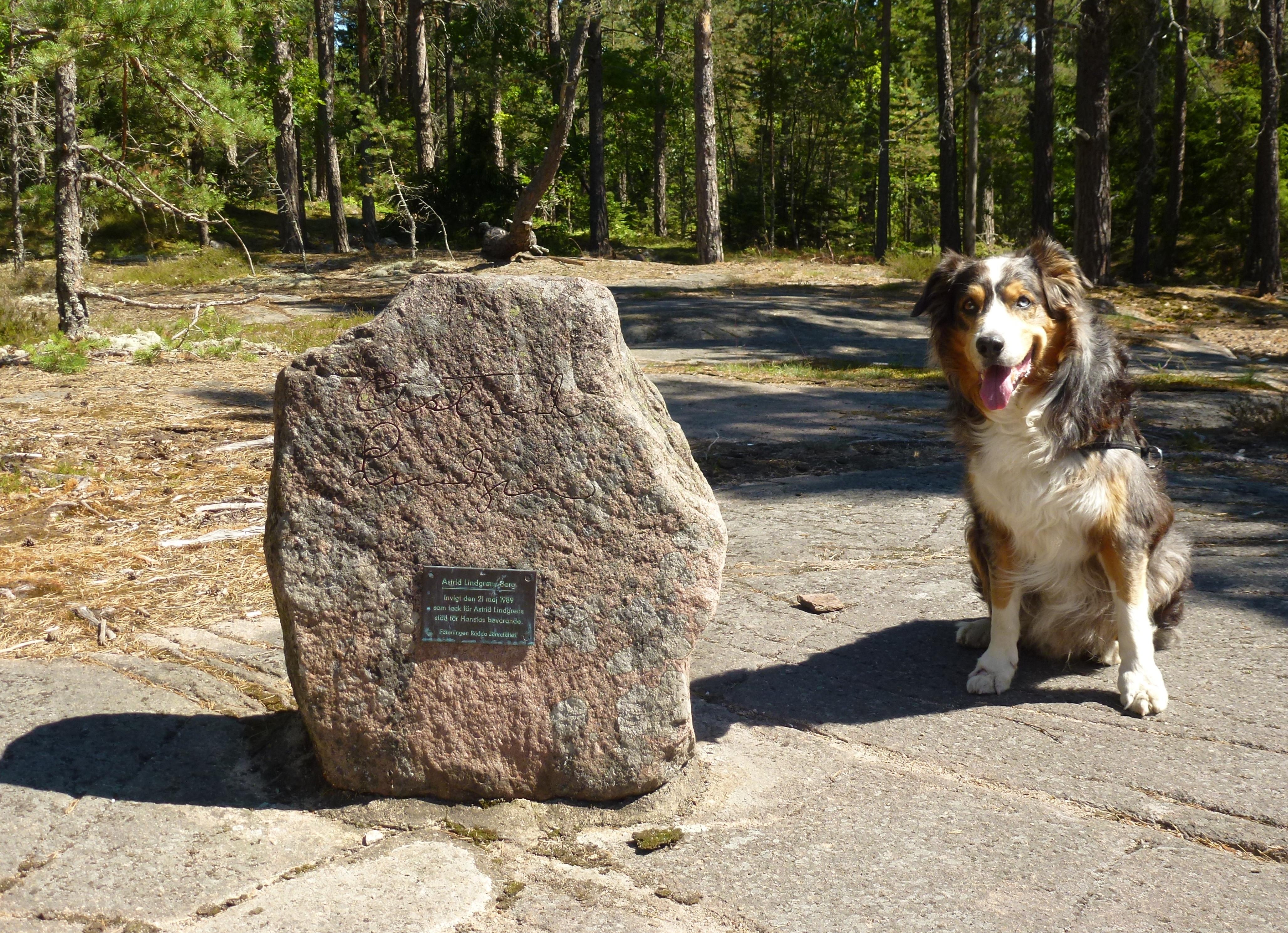 Astrid Lindgrens berg