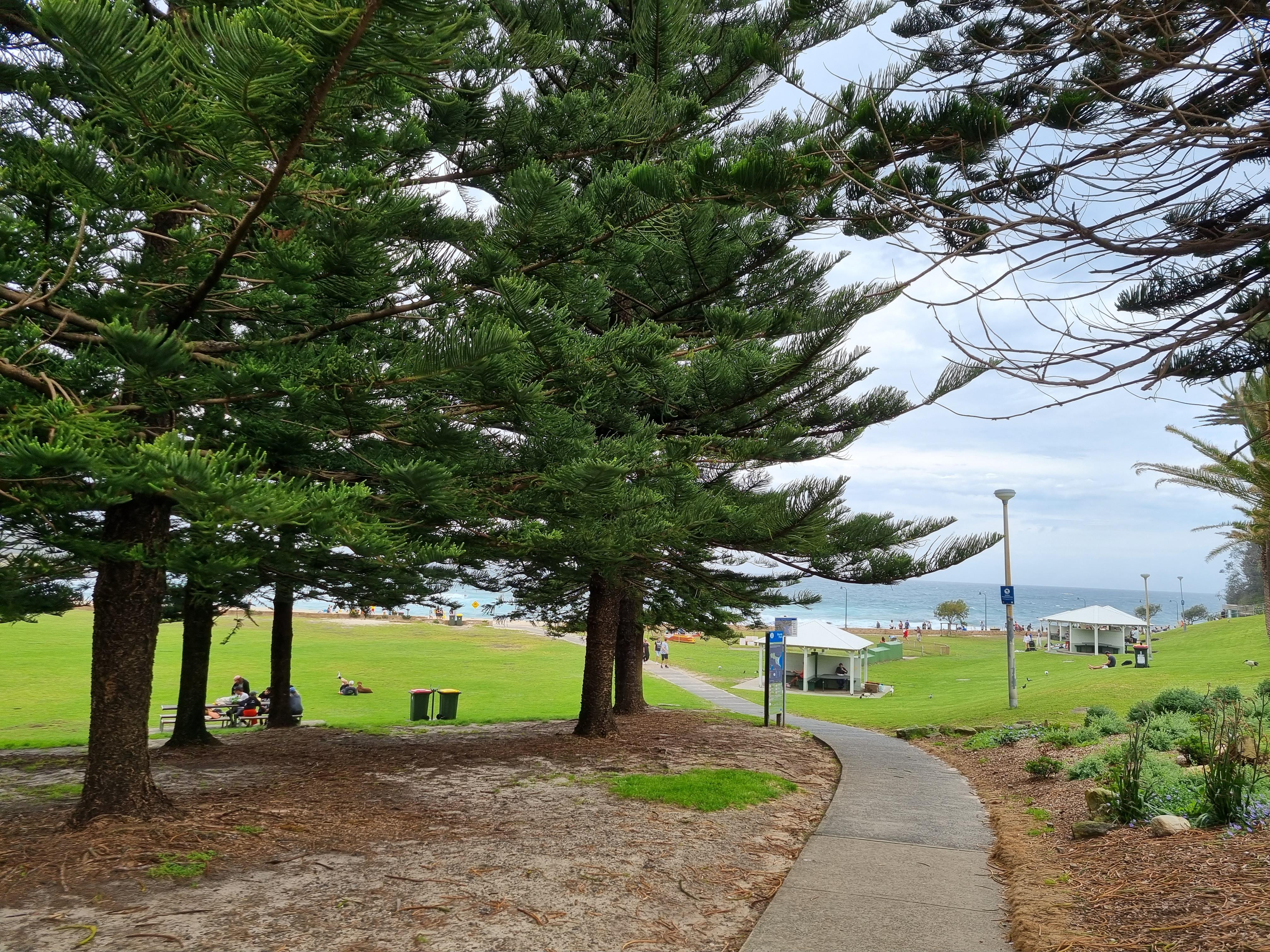 Bronte Park