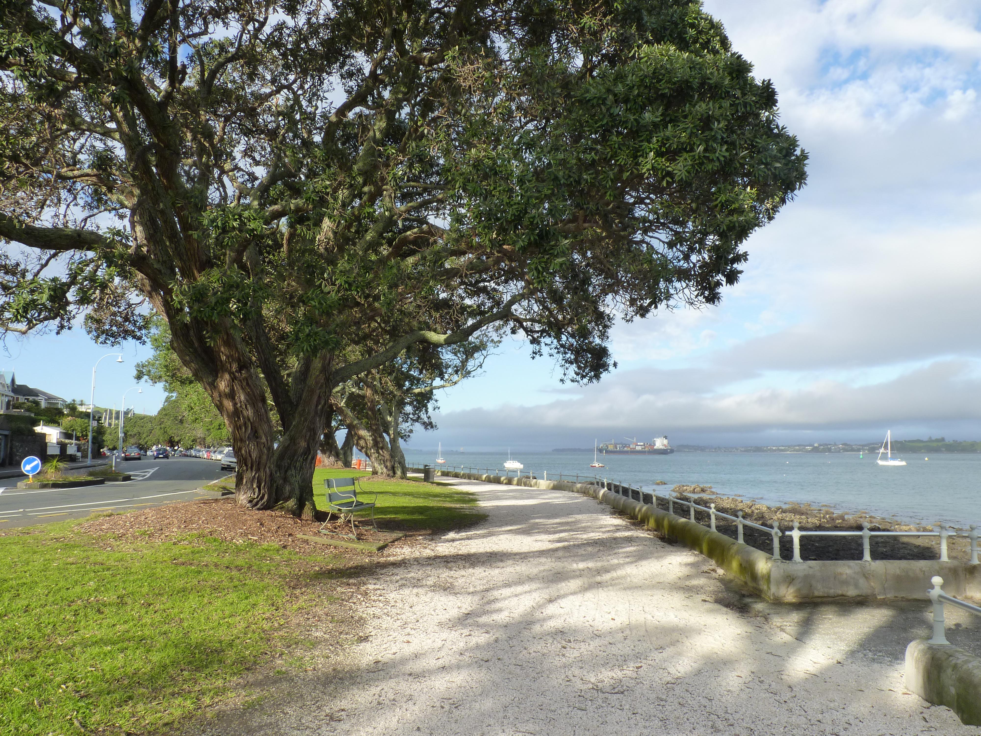 Devonport Beach