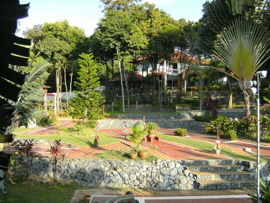 Jungle minigolf