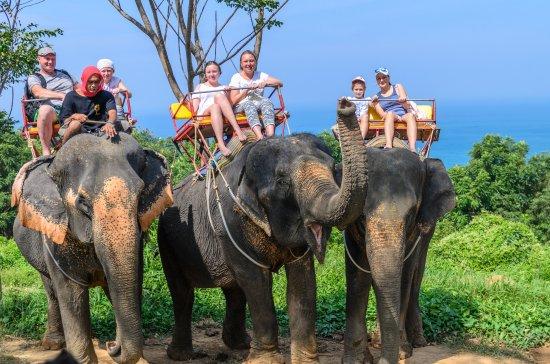 Elefantentrekking Kok Chang Safari