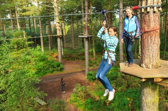 Go Ape at Bedgebury