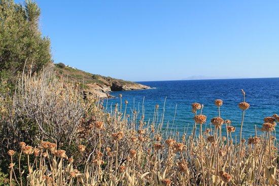Agios Kyprianos Beach