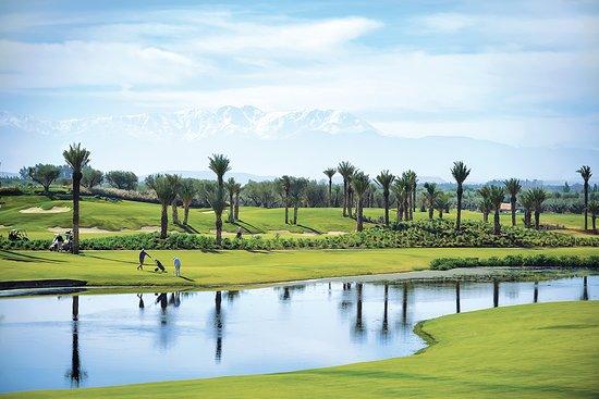 Royal Palm Golf & Country Club