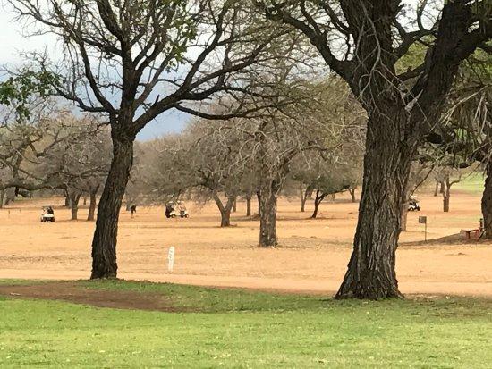 Drakensig Golf Club