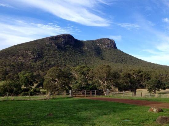 Mt Sturgeon