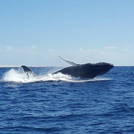 Big Blue